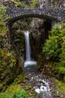Christine Falls n Mount Rainier National Park, Washington State, USA Art Print